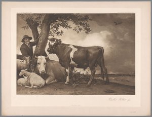 De stier door Paulus Potter door Anonymous