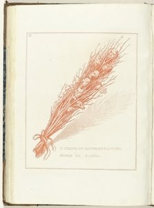 Gesel van de Provisionele Representanten van het Volk van Holland, 1795