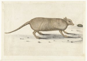 Gordeldier (Lombard album) door Anonymous
