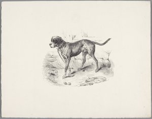 Hond aan een ketting (Zes kleine dierenstudies)