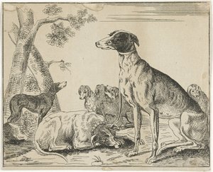 Hondenkennel