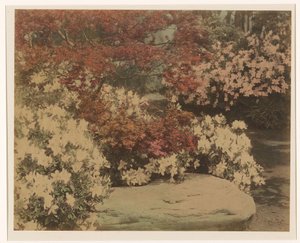 Japanse tuin met bloemen door Anonymous