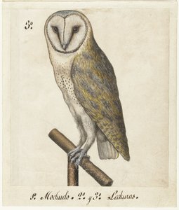 Kerkuil (Lombard album)