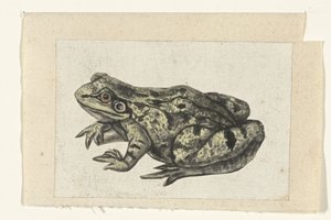 Kikker (Lombard album) door Anonymous