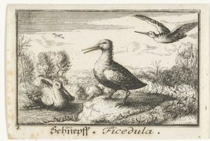 Landschap met drie snippen door Anonymous