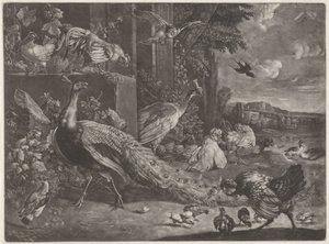 Landschap met gevogelte