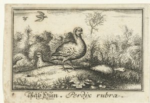 Landschap met patrijzen