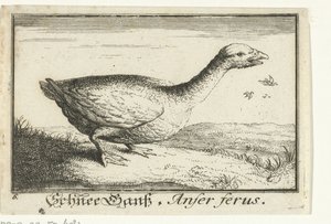 Landschap met wilde gans door Anonymous