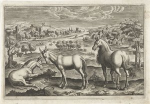 Paard en ezels door Anonymous