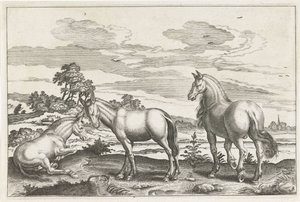 Paard en ezels door Anonymous