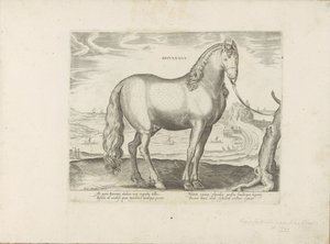 Paard uit Bretagne (Brittanus) door Anonymous