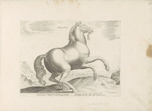 Paard uit Frankrijk door Anonymous