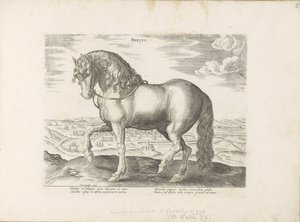 Paard uit Friesland