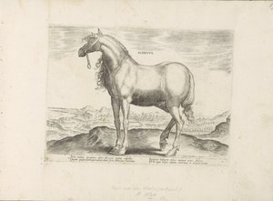 Paard uit Griekenland