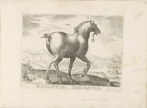 Paard uit Saksen