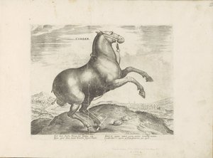 Paard uit Scythië