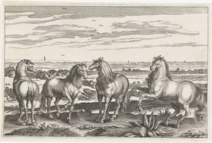 Paarden door Anonymous