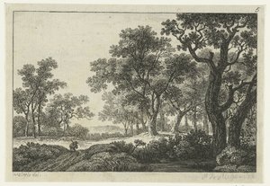 Pad door het bos