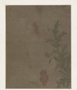 Papaverbloemen