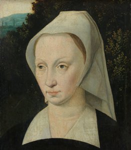 Portret van een vrouw door Anonymous