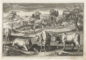 Runderen
