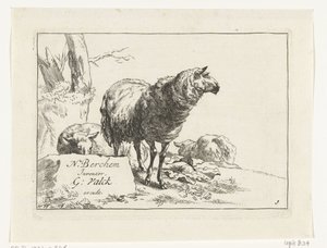 Staand schaap en twee liggende schapen door Anonymous