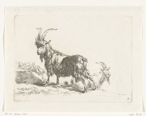 Staande en liggende geit of bok (Geiten en schapen naar N.P. Berchem)