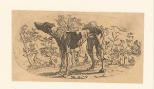 Staande hond voor een landschap door Anonymous