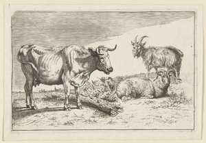 Staande koe met gedraaide hoorn met een schaap en een geit
