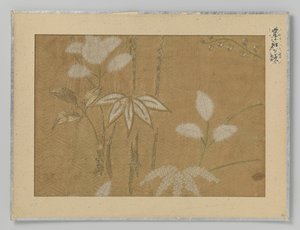 Textielfragment