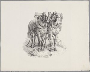 Twee opgetuigde paarden