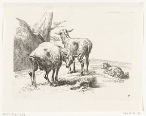 Twee staande geiten en een jonge geit (Geiten en schapen naar N.P. Berchem)