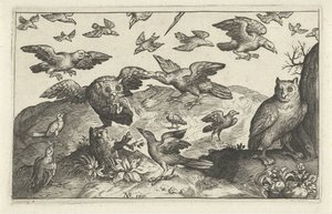 Uil met prooi belaagd door andere vogels door Anonymous