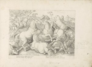Vechtende paarden