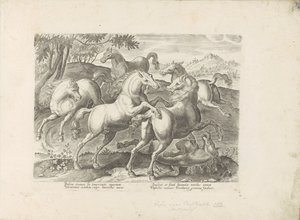 Vechtende paarden met een onder de voet gelopen paard door Anonymous