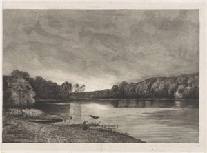 Vijver met twee reigers