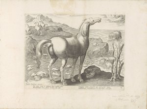 Zephyrus bevrucht een merrie
