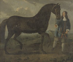 Zwart paard geleid door een stalknecht door Anonymous