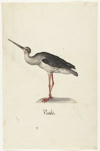 Zwarte Ruiter (Vecada) (Lombard album) door Anonymous