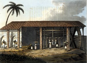 Brazilië, suikerfabriek - in The Old and Modern Costume 1819-1820 door Dr. Jules Ferrario, uitgever Milaan.