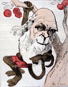 Karikatuur van Charles Robert Darwin (1809 - 1882) in "La Lune"