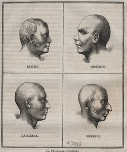 Criminele frenologie in de Brest Bagne (portretten die de fysiognomische kenmerken van verschillende soorten criminelen weergeven). Gravure in Histoire des bagnes depuis leur création à nos jours (1877) door Pierre Zaccone.