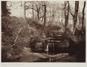 Edge Park, Cheshire