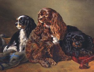 King Charles Spaniels door Anonymous Anonymous