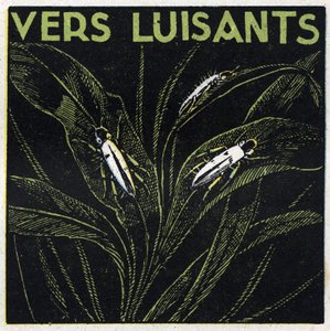 Fosforescentie: gloeiende groenen. Anonieme illustratie uit 1925. Privécollectie. door Anonymous Anonymous