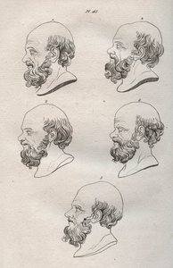 Fysiognomie - Verschillende hoofden van de Griekse filosoof Socrates (ca. 469 v.Chr.-399 v.Chr.) (buste van Socrates) gravure uit 1808 in 