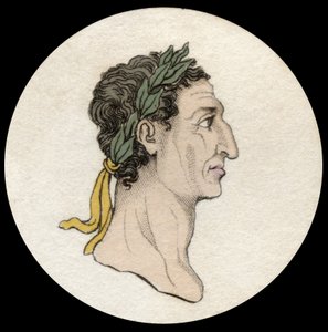 Portret van keizer Nerva (Marcus Cocceius Nerva) (26-98 AD)