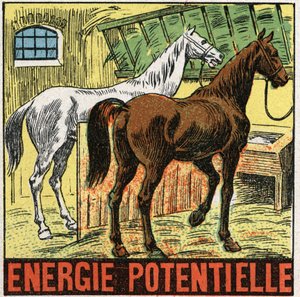 Potentiële energie: paarden rusten in een stal. Anonieme illustratie uit 1925. Privécollectie. door Anonymous Anonymous