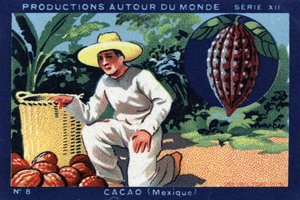 Producties over de hele wereld: Cacao in Mexico. Chromolithografie uit 1933 in “Joseph-Milliat Album”