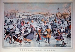 Schaatsen op het bevroren meer van Central Park in New York City, VS door Anonymous Anonymous